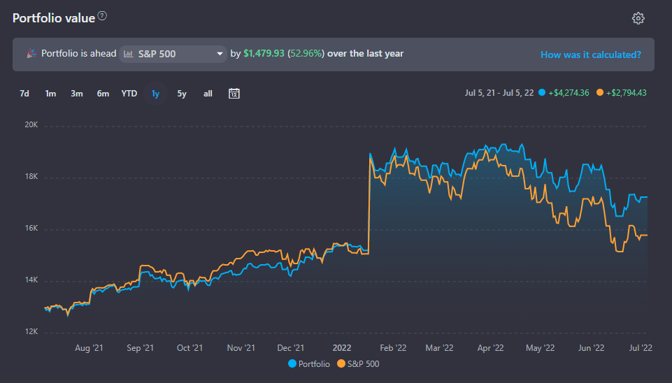 What does the Portfolio Value graph show?
